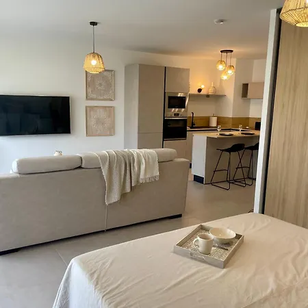 Mini Loft Piscine En Rooftop A 500m De La Mer
